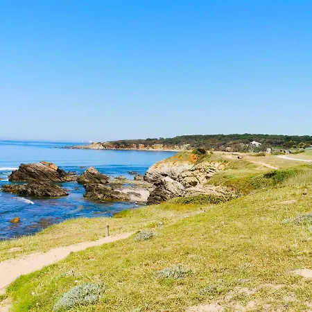 Port Jure Face A La * Les Sables-d'Olonne